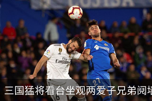 三国猛将看台坐观两爱子兄弟阋墙 弟弟更比哥哥强？
