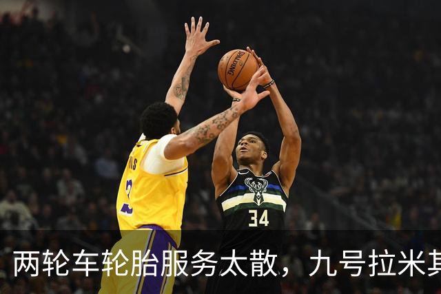 两轮车轮胎服务太散，九号拉米其林进店补课