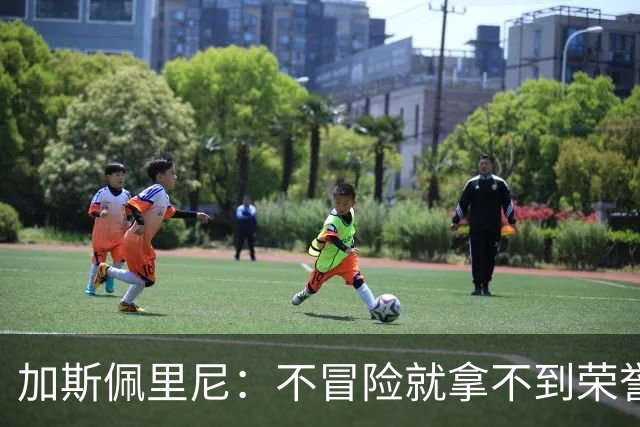 加斯佩里尼：不冒险就拿不到荣誉；罗马能与意甲任何球队过招