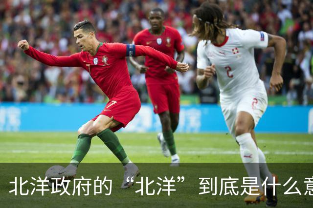 北洋政府的“北洋”到底是什么意思？不是北方洋人的意思