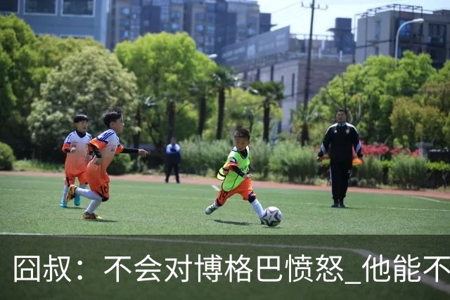 囧叔：不会对博格巴愤怒 他能不能去世界杯不关我事