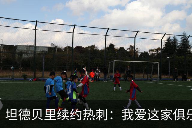 坦德贝里续约热刺：我爱这家俱乐部，愿为队徽而战
