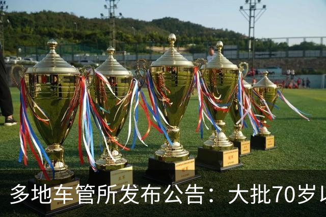 多地车管所发布公告：大批70岁以上老人驾照被注销