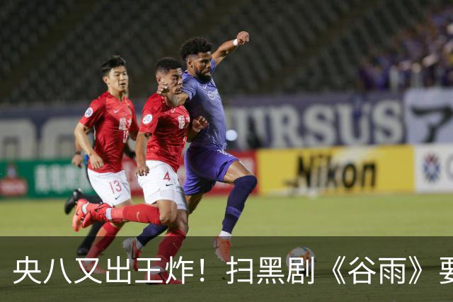 央八又出王炸！扫黑剧《谷雨》要来了