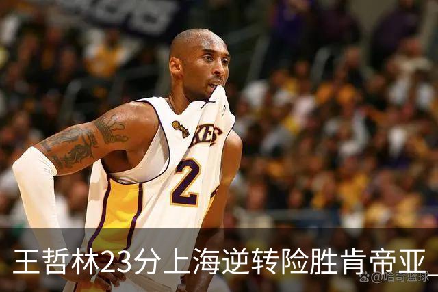 王哲林23分上海逆转险胜肯帝亚 总分2-1进八强