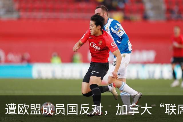 遭欧盟成员国反对，加拿大“联席成员”提议宣告失败，冯德莱恩被批想当“欧盟总统”
