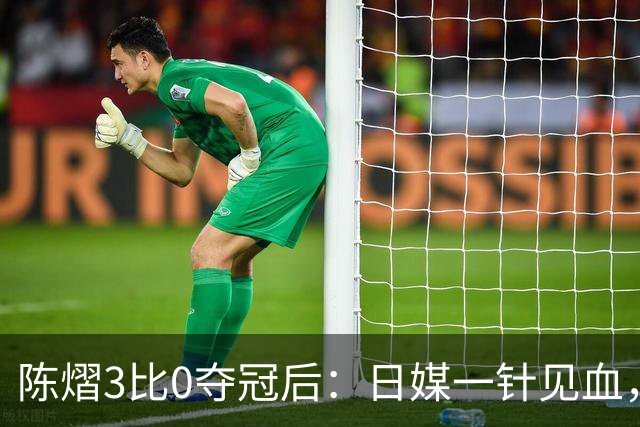 陈熠3比0夺冠后：日媒一针见血，指出张本美和惨败原因