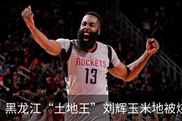 黑龙江“土地王”刘辉玉米地被烧后续来了！下架所有有关视频，自述前因后果