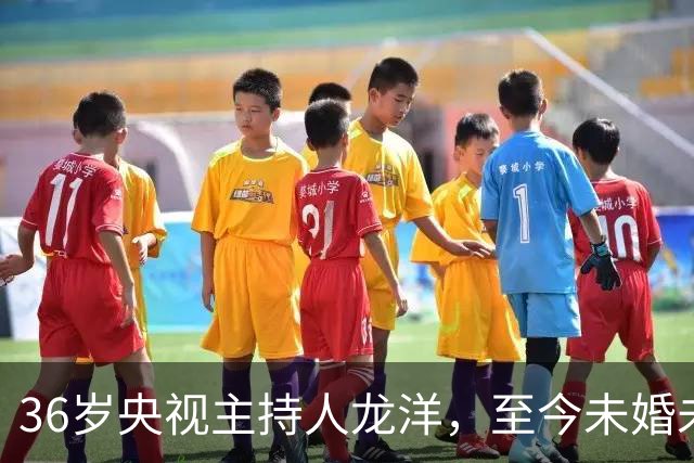 36岁央视主持人龙洋，至今未婚未育，名下无车无房，生活潇洒自在